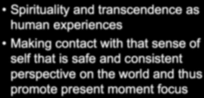 Self as Context Spirituality and transcendence as human experiences Making