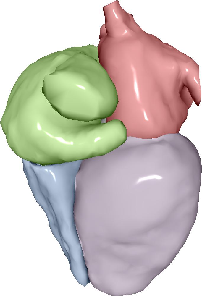 The green boxes refer to the sections where the corresponding components are discussed. myocardium onto a set of concentric rings.