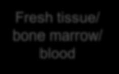 marrow/ blood Tissue archiving
