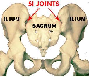 Sacroiliac Joint Pain Pearls May be associated with HLA-B27 syndromes Ask about morning stiffness, nocturnal pain Physical Examination FABER (flexion abduction external rotation of ipsi hip) Neuro