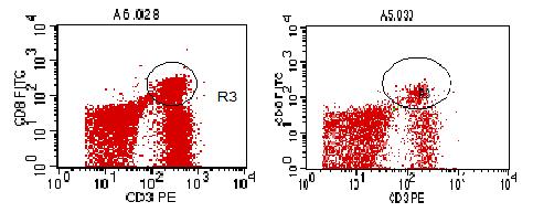 Agung Endro Nugroho et al Day 0 Day 7 Day 0 Day 7 A) B) C) D) Day 0 Day 7 E) Figure 1. CD8+ Analysis using Flow Cytometry.