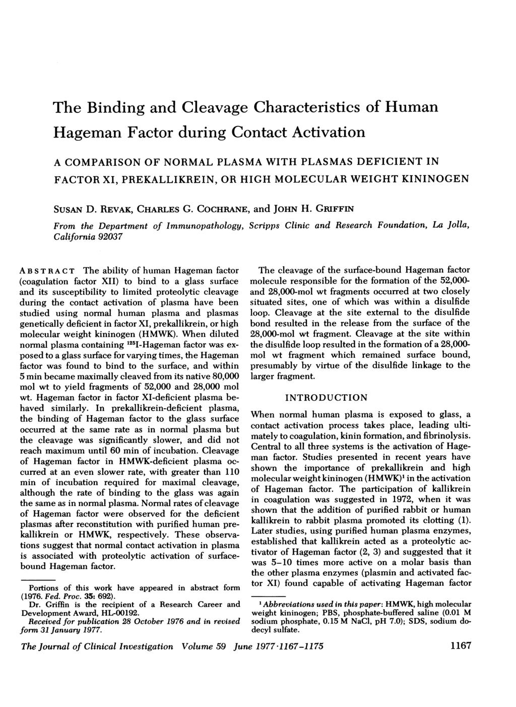 The Binding and Cleavage Characteristics of Human Hageman Factor during Contact Activation A COMPARISON OF NORMAL PLASMA WITH PLASMAS DEFICIENT IN FACTOR XI, PREKALLIKREIN, OR HIGH MOLECULAR WEIGHT