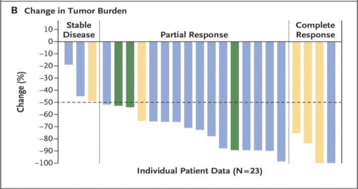 Response in Tumor Burden of HL Patients