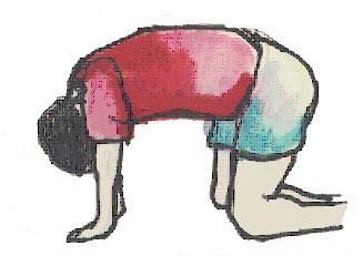 Get on your hands and knees with the spine straight, so that the back is as parallel to the floor as possible.