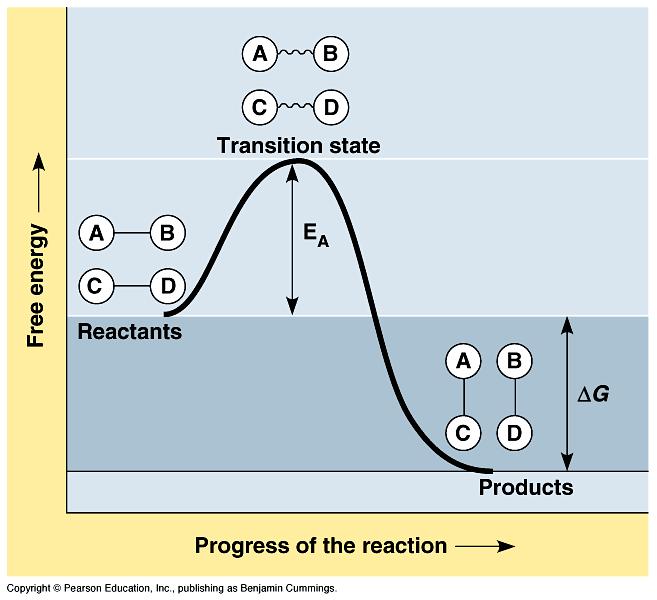 At the top of the hill the reactants are in an unstable