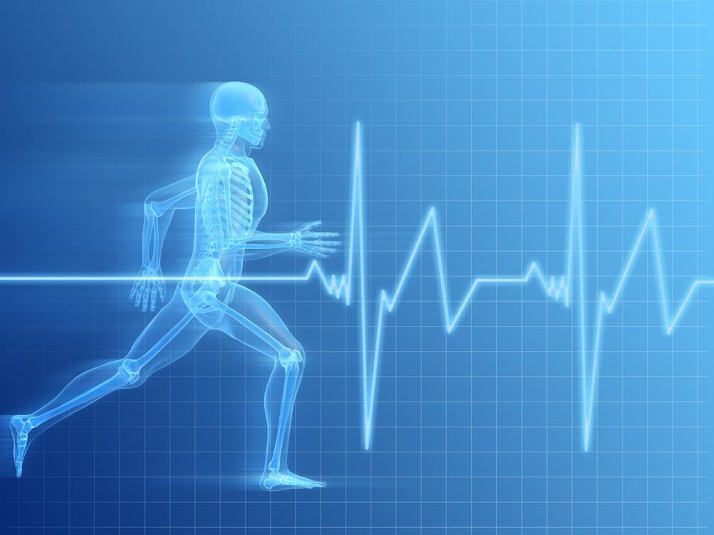 Physiological and Metabolic Background of Speed Training Loren