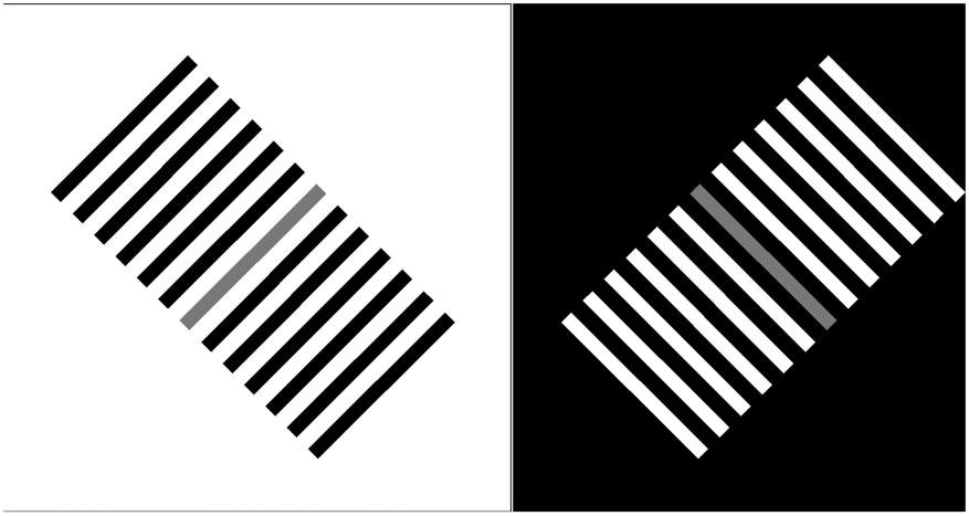 Economou et al. 3 Figure 1. The reverse contrast illusion. Even though the gray bar on the right is totally surrounded by black, it appears darker than the identical bar on the left. (Economou et al.
