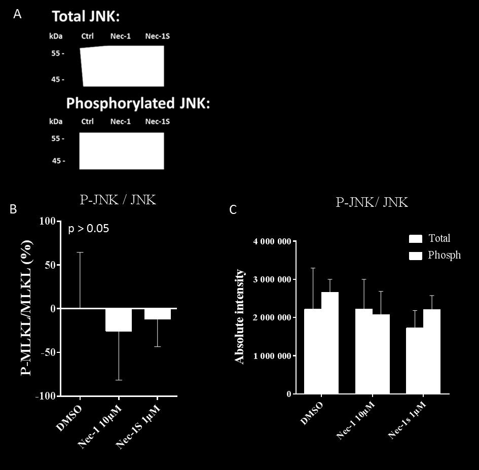Figure S10: Figure S10: Western Blotting results of total-jnk and phosphorylated-jnk: Western blots were done with both phosphospecific- and total protein of JNK in the different groups from the