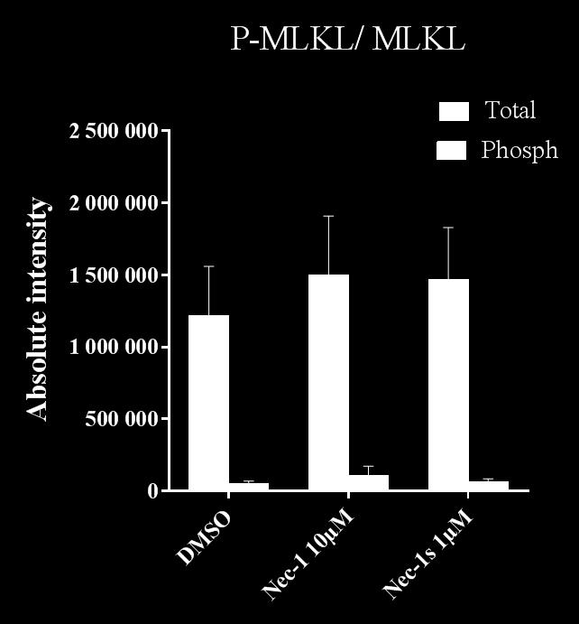 Figure S5 Figure S5: Western Blotting results of P-MLKL/MLKL: Total-MLKL and phosphorylated-mlkl in the different exposure groups from the Langendorff-perfused hearts, series 2,