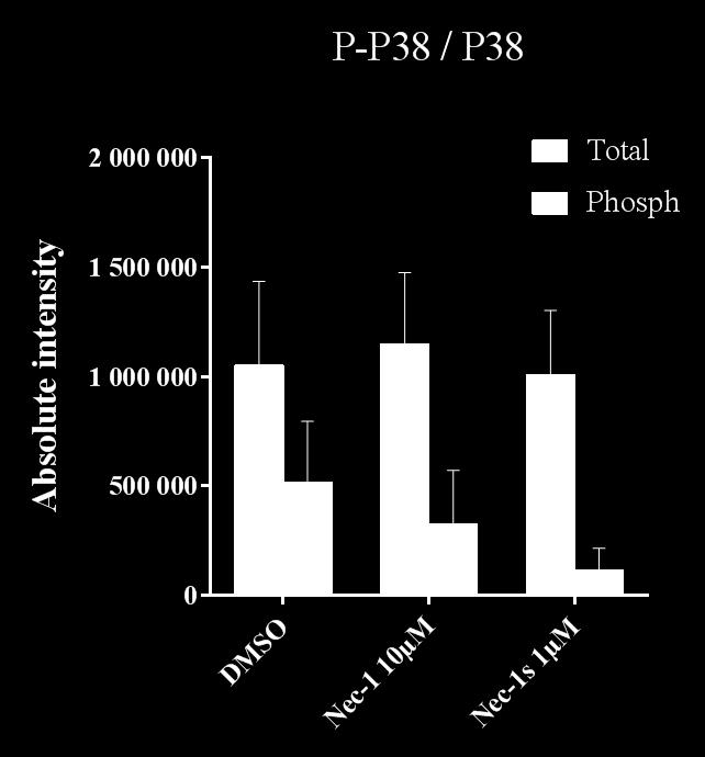 Figure S6 Figure S6: Western Blotting results of p38: Total-p38 and phosphorylated-p38 in the different exposure groups from the Langendorff-perfused hearts, series 2, (Ctrl