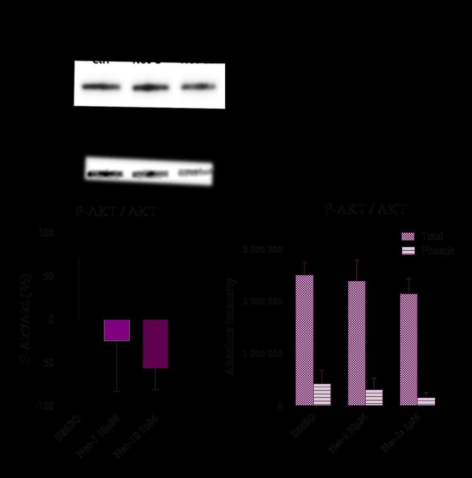 Figure S7: Figure S7: Western Blotting results of total-akt and phosphorylated-akt: Western blots were done with both phosphospecific- and total protein of AKT in the different groups from the