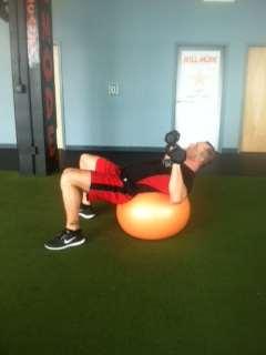 3 Workout Circuits With Use of Equipment Workout A: Upper Body Stability Ball Dumbbell Chest Press 1.