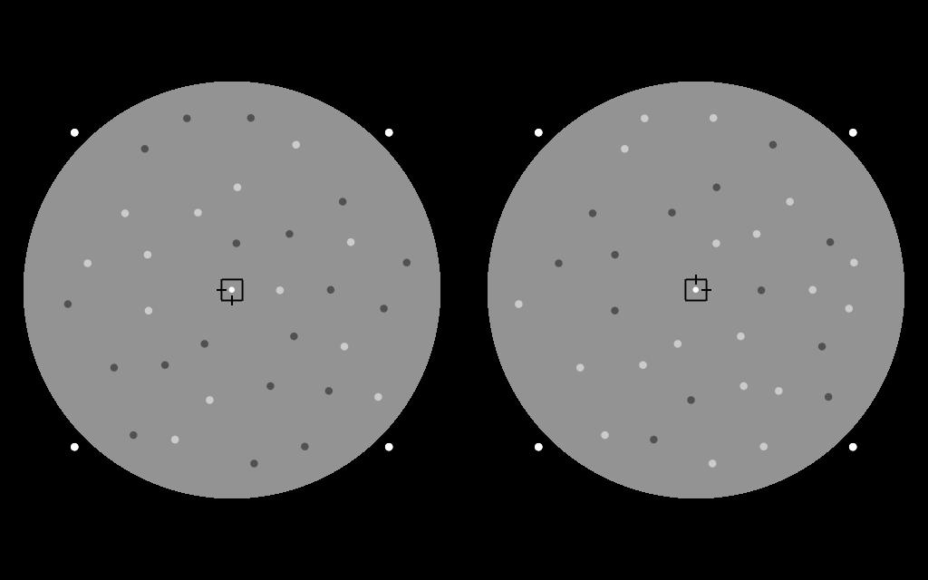 In all conditions, each dot followed a 1.6 Hz sinusoidal trajectory and the two dots in a pair always had opposite (anti-phase) motion. Dot velocity in each monocular half-image ranged between ±1.