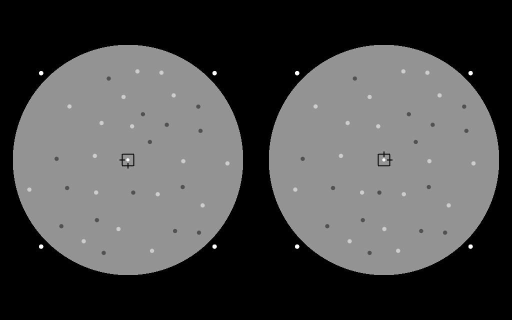 5) so that the luminance of each dot was half of the available range. In this way luminance would mix (instead of occlude) when two dots moved across the same space in one of the monocular images.