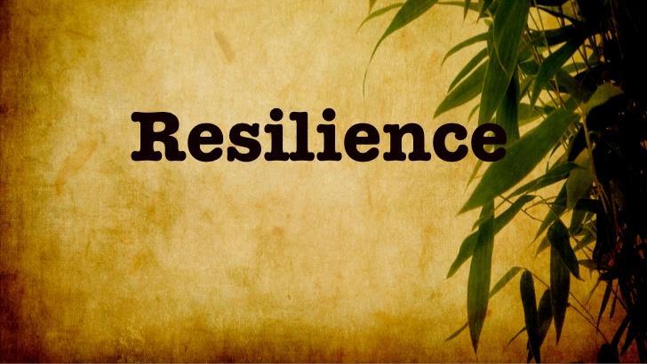 The Wisconsin Children s Mental Health Collective Impact Resiliency Workgroup Models their own resilience with sustained attention, persistence, & hope. Assist others in their resilience journey.