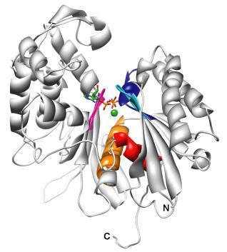 GS52 protein model Apo-form Docking form ACR2 ACR1 Docking form Domain 2 Domain 1 ACR4 ACR3 ACR5 RMSD in 389 atom pairs: 0.