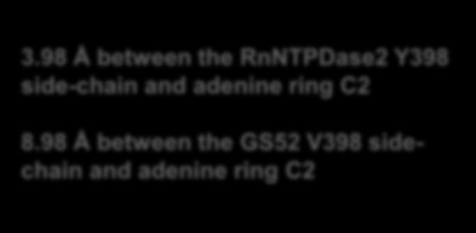 adenine ring C2 1 2 1 2 3