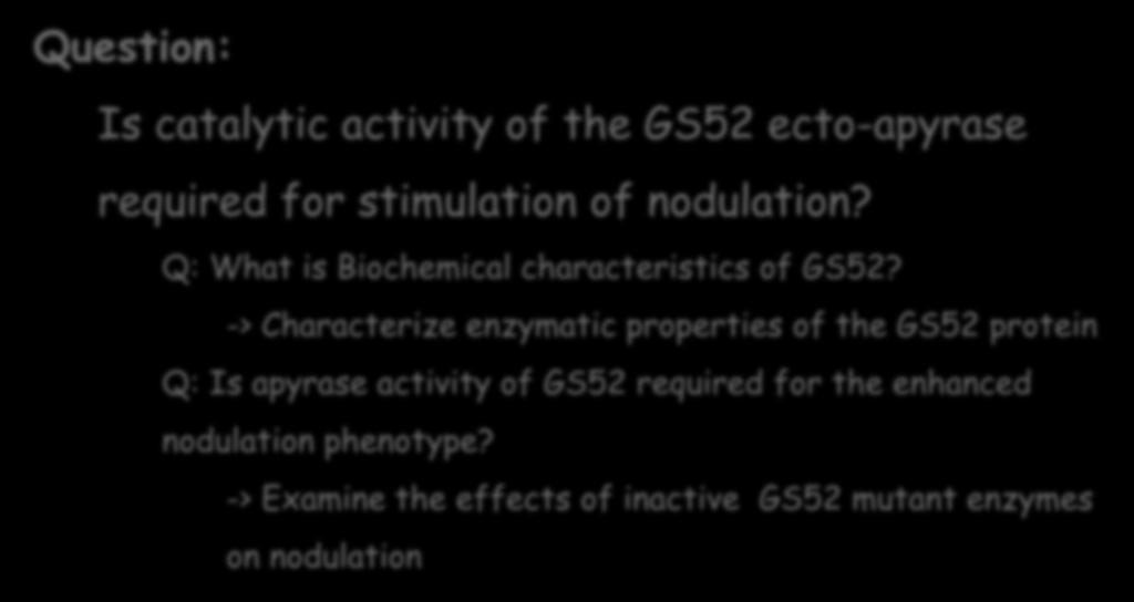 Question: Is catalytic activity of the GS52 ecto-apyrase required for stimulation of