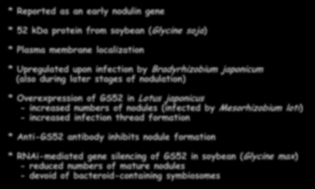Soybean ecto-apyrase GS52 * Reported as an early nodulin gene * 52 kda protein from