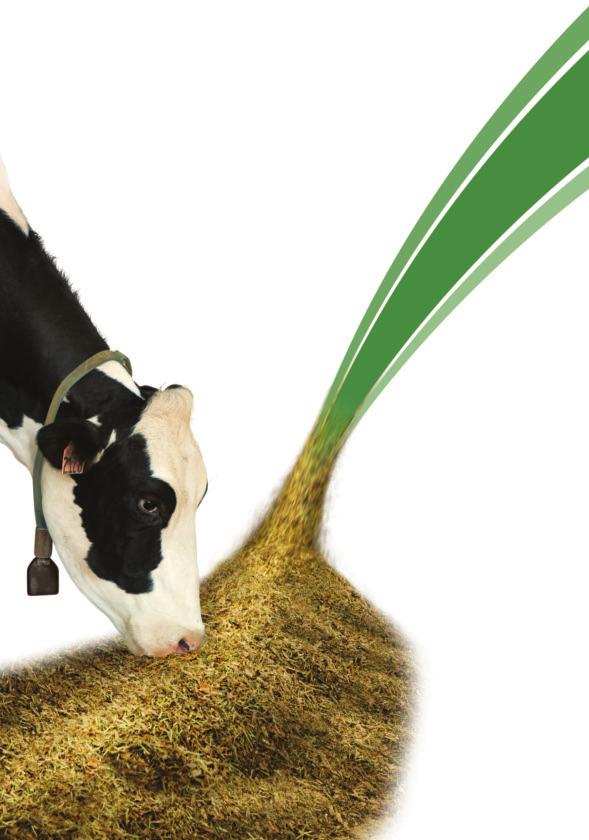 To get every cow to do her best, every acre has to do its best Nutrition & Health - Dietary Allowances for Dairy Catttle When you re looking to maximize your corn silage acres, look no further than