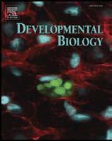 Developmental Biology 322 (2008) 394 405 Contents lists available at ScienceDirect Developmental Biology journal homepage: www.elsevier.