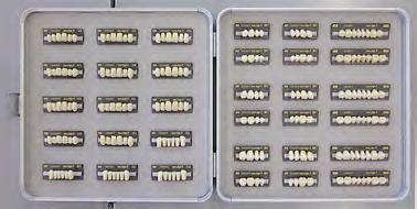 lign full teeth Parts list /