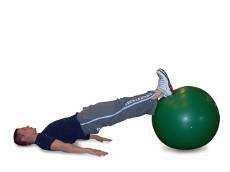 Exercise Descriptions 1 Hamstring Curl - Lie on your back with your arms at your side. Place your legs on top of an exercise ball.