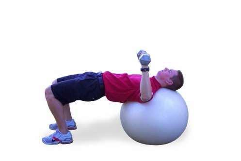 C1 Single Arm Chest Press - Lie on your back on a stability ball with your knees bent. Your head and neck should be supported by the ball. Elevate your hips so they are even with your knees.