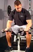 Seated Dumbbell Palms-Down Wrist Curl Main Muscle Worked: Forearms Equipment: Dumbbell Tips: Works the outer arm part of the forearms.