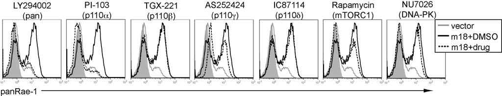 A. B. C. Figure 3.5. PI3K activation is involved in the induction of RAE-1 by m18. A) Fibroblasts were co-transfected with m18 pcdna3.