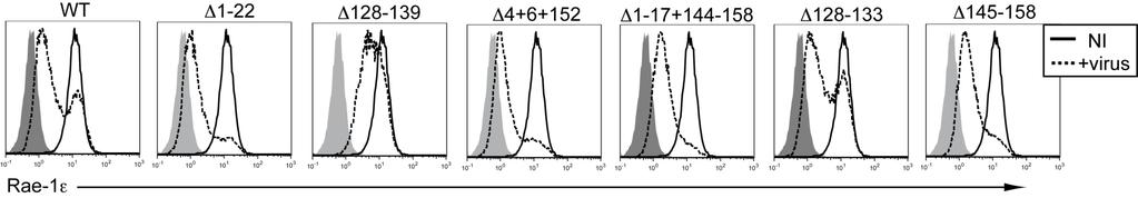 Appendix 2.1. RAE-1δ and ε are differentially regulated by MCMV.