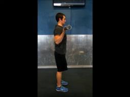 With a palm-up grip, start with the dumbbells & arms hanging straight down.
