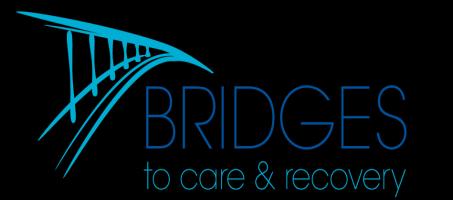 PROGRAM PROGRESS TO DATE Bridges to Care and Recovery Program Report Fiscal Year 2017, Quarter 1 (July, August, & September 2016) This report represents an overview of progress made in the Bridges to