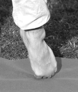 and Foot Position Behind Body to Mobilize Foot Just Below the Ankle (Not the Toes!