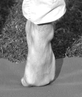 Inside Once in Position, Perform 5-7 Small Pulses Forward to Mobilize Foot Joints COMMON