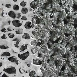 Unique porous architecture has demonstrated excellent integration with host bone as early as 4 weeks in an animal study 12* Porosity of approximately 70% directly mimics the structure of
