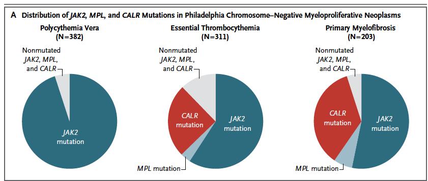 Distribution of mutation types in the non-cml MPN Polycythemia vera (2016) Increased red cell production Hemoglobin >16.5/16.