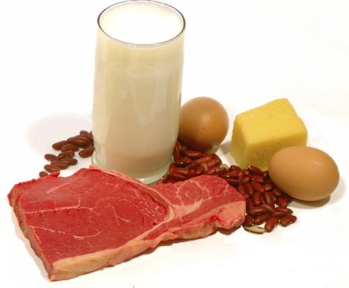 Is More Protein Better?
