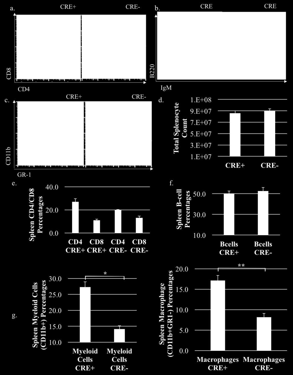 Flow plots representative of 3 independent experiments d) Total splenocytes e) Percentages of CD4 and CD8 T-cells. f) Percentages of B-cells.