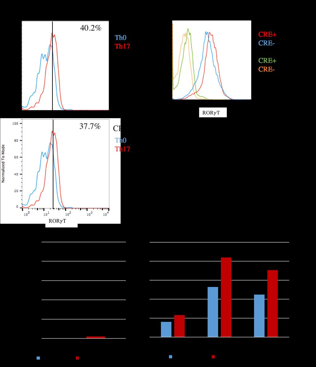 Figure 7: RORγt expression is normal in CRE+ Th17 polarization cultures.