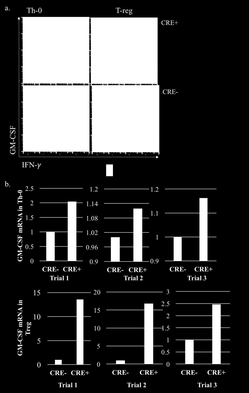 Figure 16: GM-CSF expression is increased in CRE+ Th0 and itreg cultures. Purified CD4 T-cells from CRE+ and CRE- mice were cultured under Th0 and itreg polarization conditions and followed by ICS.