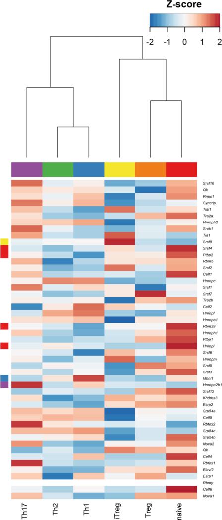 Stubbington et al. Biology Direct (2015) 10:14 Page 19 of 25 Figure 13 Varying expression of splicing factors in the CD4 + subtypes.