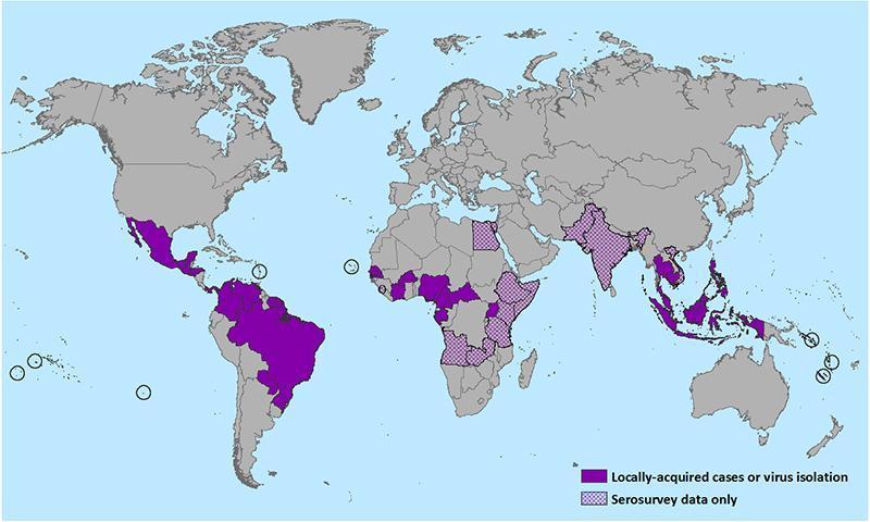 Zika Arrives in the Americas 2016 By January 2016, it was estimated that more than a million people had been infected in Brazil, and Zika cases had been seen in most