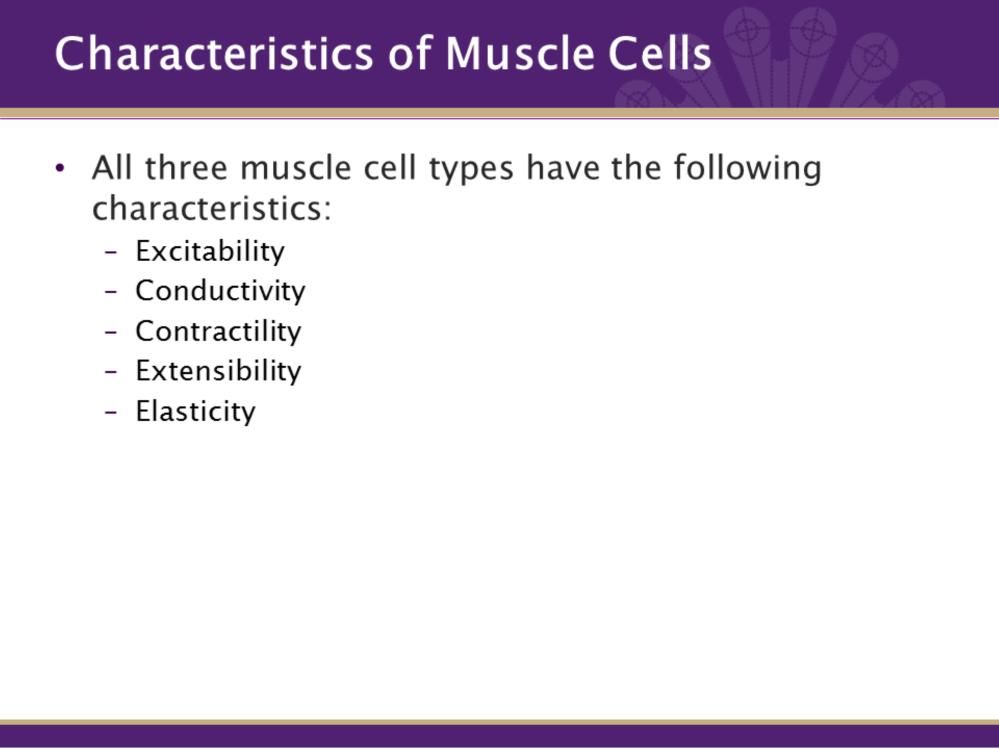 All three muscle types have the following CHARACTERISTICS: 1. Excitablity: responds to an electrical or chemical stimulus. 2. Conductivity: carries electrical signals. 3.