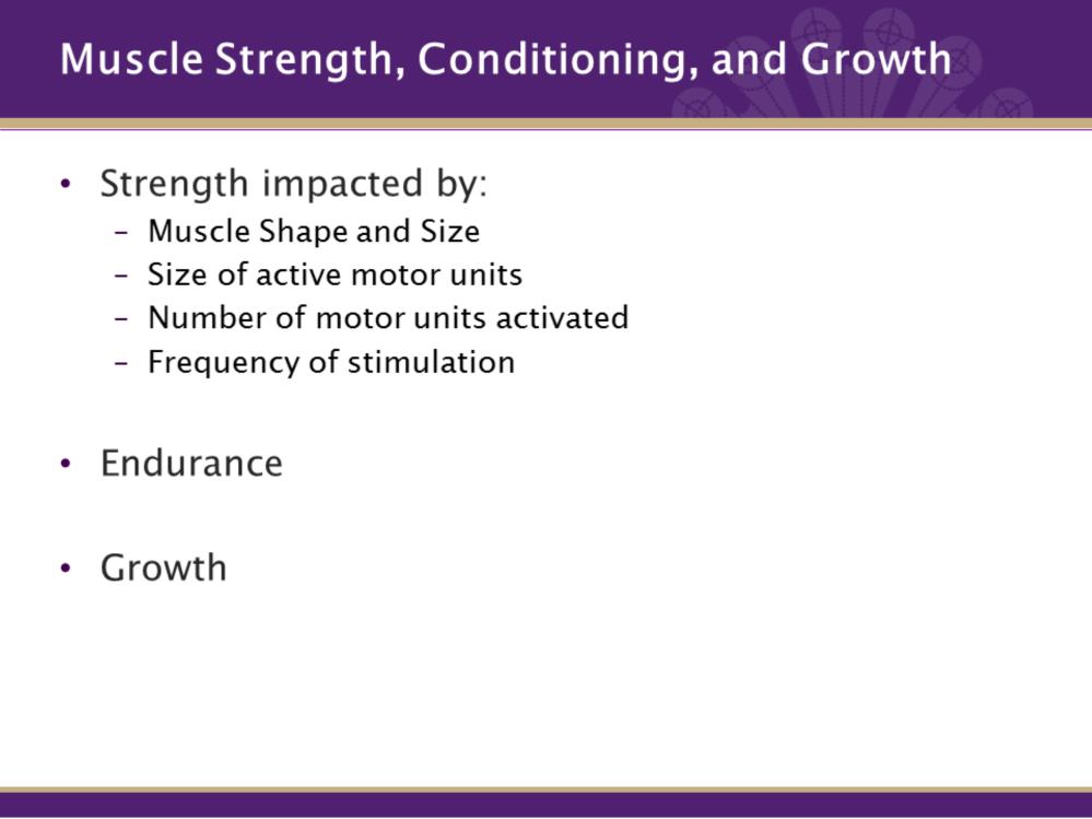 The strength of a muscle is impacted by a number of factors. First, the shape of the muscle impacts of strongly it can contract. For instance, pennate muscles are stronger the parallel muscles.
