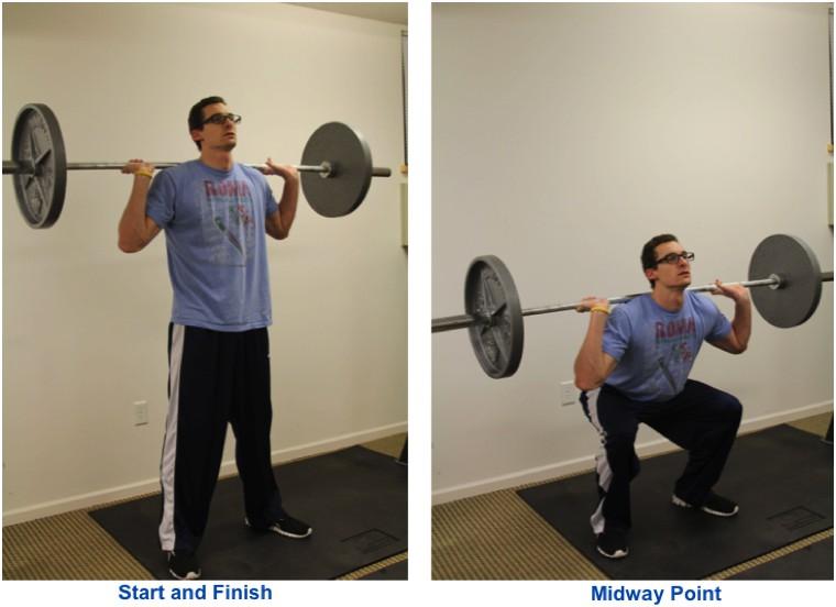 Exercise Descriptions Barbell Squats Target: Entire lower body, core 1. Starting Position: Stand holding the bar across your upper back, squeezing your shoulder blades together.