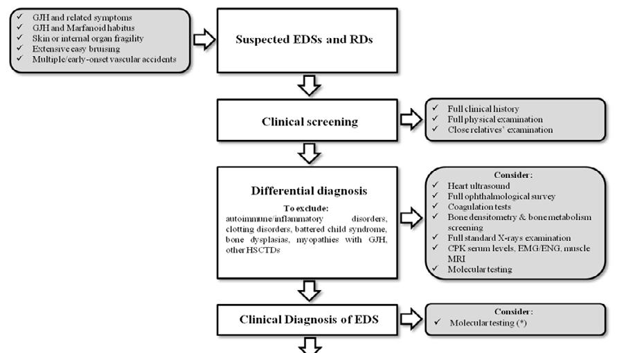 Figure 2 Flow-chart summarizing the diagnostic and initial assessment approach to the Ehlers-Danlos syndrome patient.