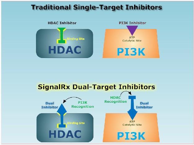 SignalRx has developed SF2558HA, a dual PI3K/HDAC inhibitor with favorably attributes such as: 1) low molecular weight; 2) high brain barrier and solid tumor penetrability; 3) inhibition of selected