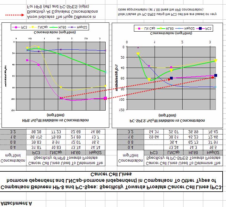 P. G. Waterman Product Development Report for HP8 page 11 Executive Summary HP8 shows clear evidence for in vitro activity in arresting and inhibiting the growth of prostate cancer cells, both