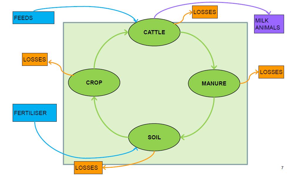 Future developments modelling Develop user-friendly interface to Tier 3 model Integrate in ANCA (Annual Nutrient Cycling Assessment) farm specific production and excretion characteristics compulsory